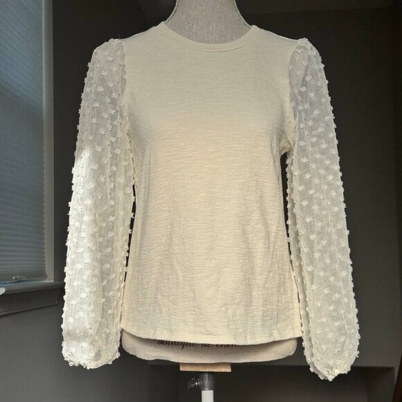 NWT! ANTHROPOLOGIE Maeve Stunning Ivory Top with Sheer Sleeves - Size XS - Picture 1 of 7